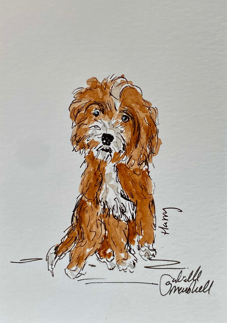 Pet Sketch