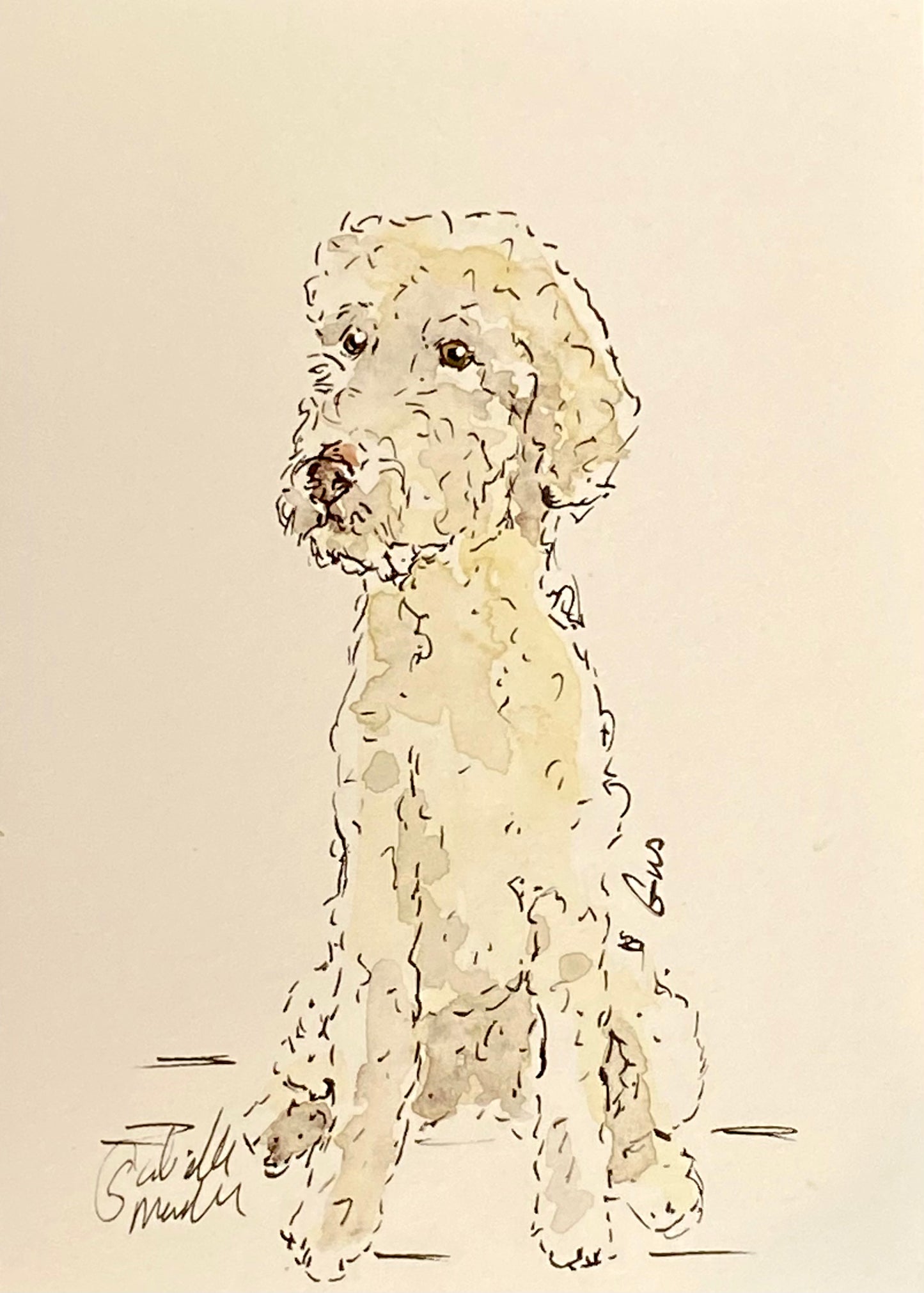 Pet Sketch