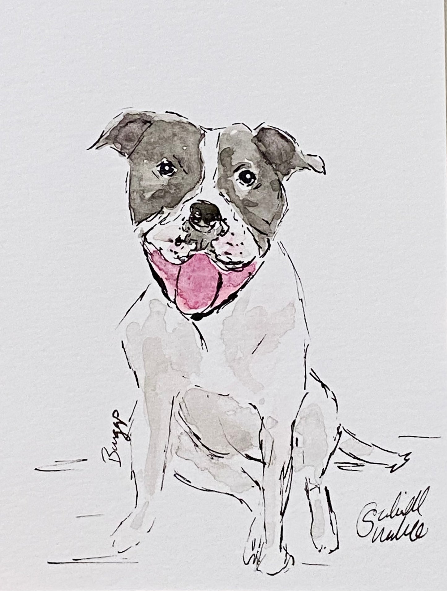 Pet Sketch