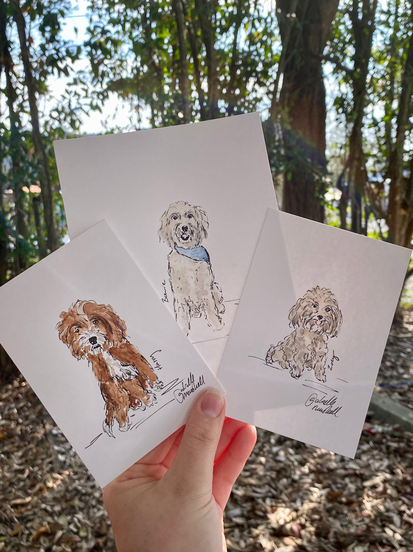 Pet Sketch